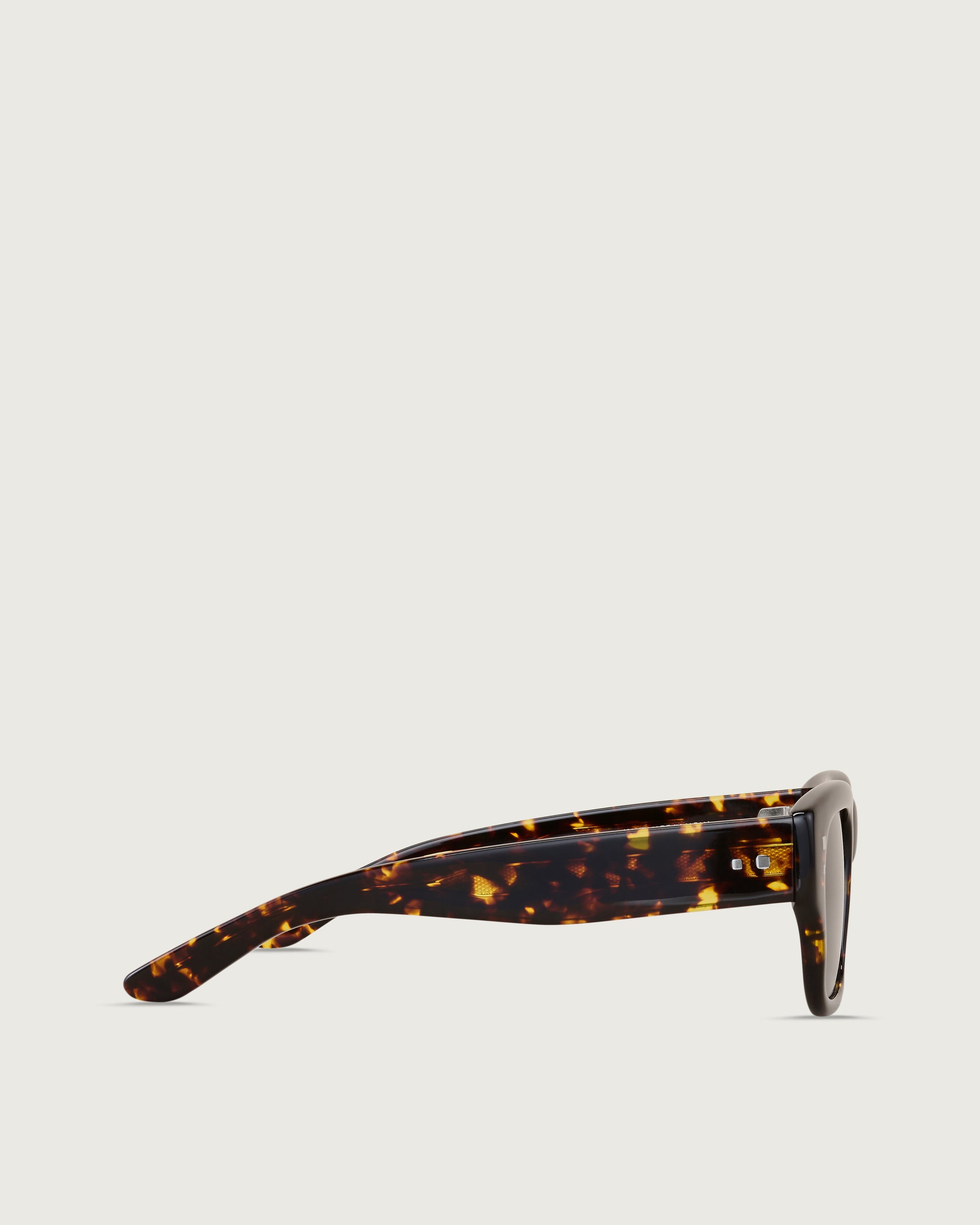 R01 - Limited Edition