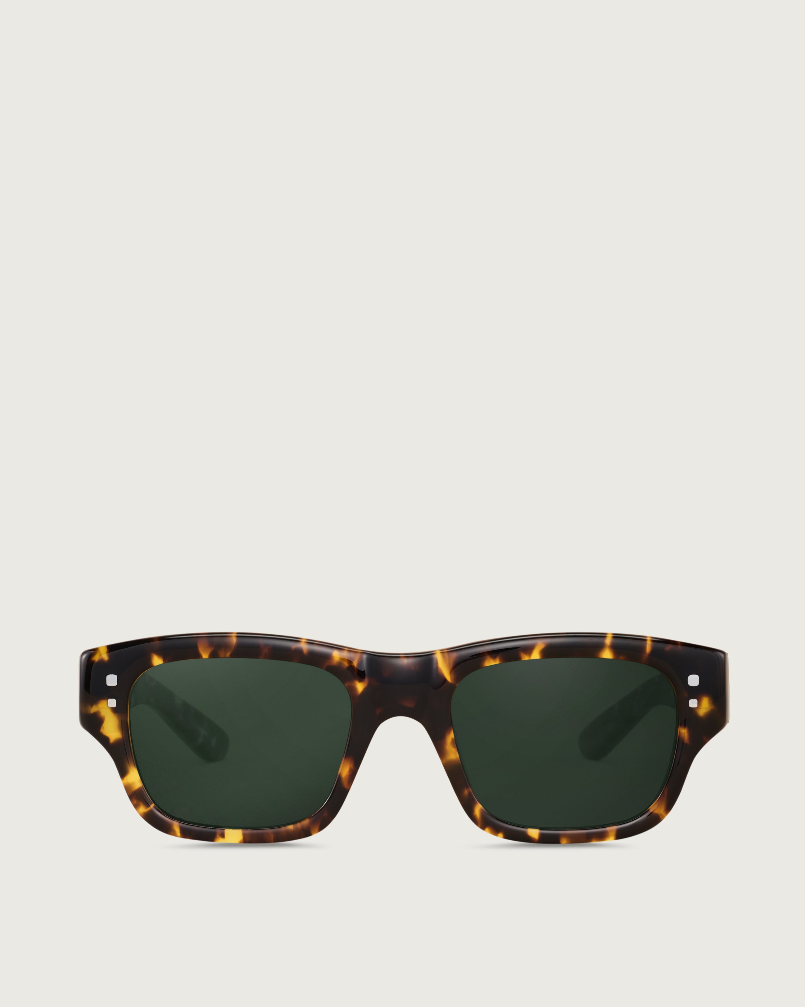 R01 - Limited Edition